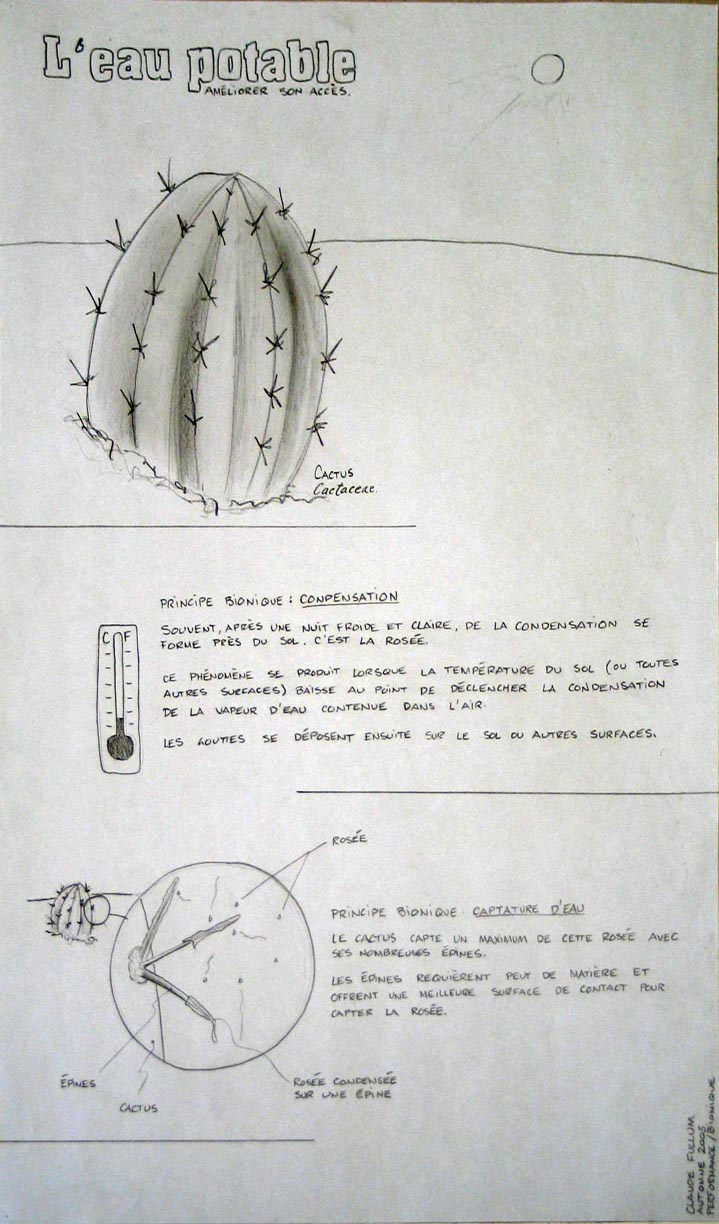 fullum1