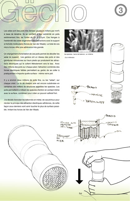 Nocolas Bernal-E2-3